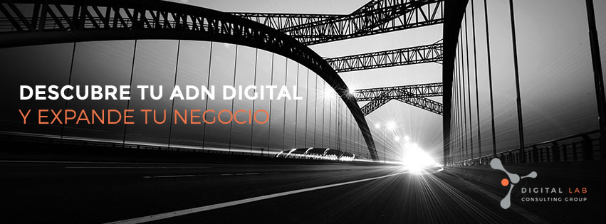 Digital Lab Consulting Group Logo